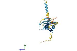 AlphaFold protein structure predicition of Human Recombinant CACNG6 Protein, UniprotID Q9BXT2 (CACNG6 Protein (AA 1-260) (His tag))
