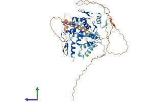 AlphaFold protein structure predicition of Human Recombinant ZSCAN30 Protein, UniprotID Q86W11 (ZNF446 Protein (AA 1-494) (His tag))