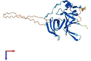 AlphaFold protein structure predicition of Mouse Recombinant Spin2c Protein, UniprotID Q6NVE3 (Spin2c Protein (AA 1-257) (His tag))