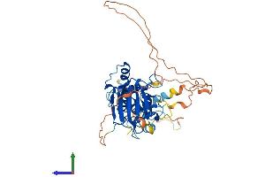 AlphaFold protein structure predicition of Mouse Recombinant Smad7 Protein, UniprotID O35253 (SMAD7 Protein (AA 1-426) (His tag))