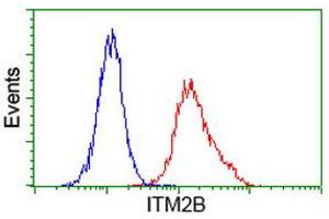 Image no. 3 for anti-Integral Membrane Protein 2B (ITM2B) antibody (ABIN1496395) (ITM2B antibody)