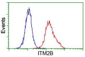 Image no. 3 for anti-Integral Membrane Protein 2B (ITM2B) antibody (ABIN1496395)