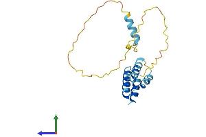 AlphaFold protein structure predicition of Human Recombinant CT45A3 Protein, UniprotID Q8NHU0 (CT45A3 Protein (AA 1-189) (His tag))