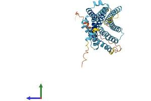 AlphaFold protein structure predicition of Human Recombinant GPR148 Protein, UniprotID Q8TDV2 (GPR148 Protein (AA 1-347) (His tag))