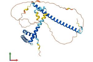 AlphaFold protein structure predicition of Mouse Recombinant Fsbp Protein, UniprotID Q8BKE5 (FSBP Protein (AA 1-299) (His tag))