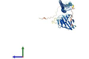 Protein Structure (PS) image for Tripartite Motif Containing 14 (TRIM14) (AA 1-442) protein (His tag) (ABIN7544736)