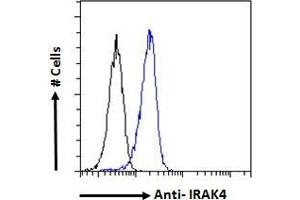 ABIN185338 Flow cytometric analysis of paraformaldehyde fixed HeLa cells (blue line), permeabilized with 0. (IRAK4 antibody  (N-Term))