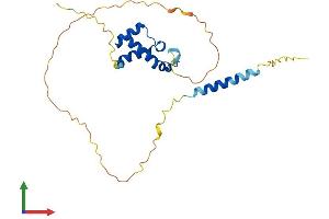 Protein Structure (PS) image for TGFB-Induced Factor Homeobox 2 (TGIF2) (AA 1-237) protein (His tag) (ABIN7544403)