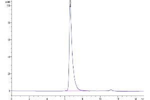 Size-exclusion chromatography-High Pressure Liquid Chromatography (SEC-HPLC) image for Poliovirus Receptor-Related 2 (Herpesvirus Entry Mediator B) (PVRL2) (AA 32-360) protein (His-Avi Tag) (ABIN7275309)