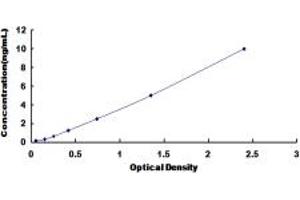 Typical standard curve (BLK ELISA Kit)