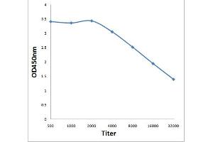 Antigen: 0. (ISR-beta antibody  (AA 801-900))