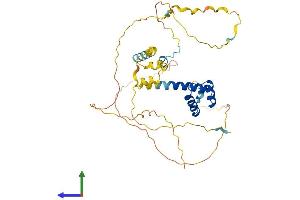 Protein Structure (PS) image for BarH-Like Homeobox 2 (BARHL2) (AA 1-384) protein (His tag) (ABIN7559956)