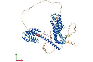 AlphaFold protein structure predicition of Mouse Recombinant Tcp11 Protein, UniprotID Q01755 (TCP11 Protein (AA 1-566) (His tag))
