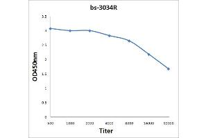 Antigen: 0. (ATP1A1 antibody  (pTyr10))