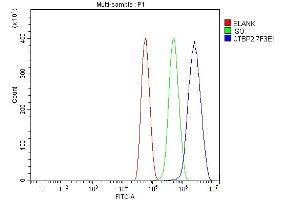 Flow Cytometry analysis of U87 cells using anti-CTBP2 antibody (ABIN7601326). (CTBP2 antibody  (AA 321-445))