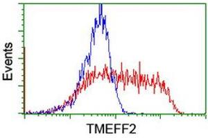 HEK293T cells transfected with either RC203736 overexpress plasmid (Red) or empty vector control plasmid (Blue) were immunostained by anti-TMEFF2 antibody (ABIN2455705), and then analyzed by flow cytometry.