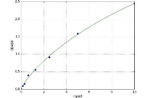 Tumor Necrosis Factor Receptor Superfamily, Member 17 (TNFRSF17) ELISA Kit
