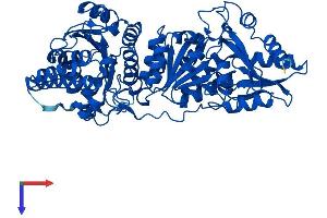 TKT Protein (AA 1-623) (His tag)