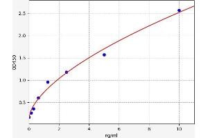 Follistatin ELISA Kit