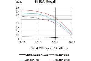 Black line: Control Antigen (100 ng),Purple line: Antigen (10 ng), Blue line: Antigen (50 ng), Red line:Antigen (100 ng) (TREM1 antibody  (AA 21-205))