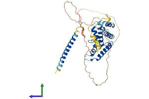 AlphaFold protein structure predicition of Human Recombinant SPATC1L Protein, UniprotID Q9H0A9 (C21ORF56 Protein (AA 1-340) (His tag))