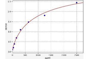 ERN1 ELISA Kit