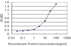Detection limit for recombinant GST tagged ATP1B3 is approximately 0. (ATP1B3 antibody  (AA 1-279))