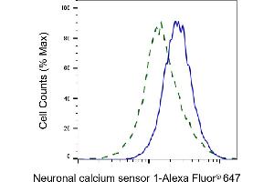 Validation of Neuronal calcium sensor 1 knockdown using flow cytometry.