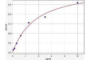 Typical standard curve (Cyclin D1 ELISA Kit)