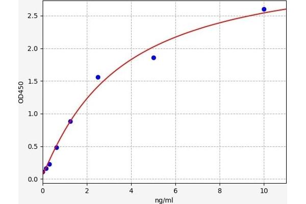 Cyclin D1 ELISA Kit