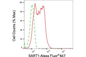 Flow cytometric analysis of SART1 expression in HepG2 cells using SART1 antibody (ABIN7800429), 1:2,000). (Recombinant SART1 antibody)