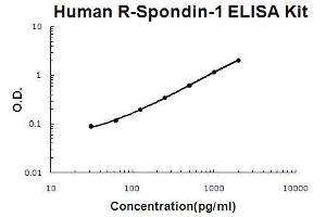 Human R-Spondin-1 PicoKine ELISA Kit standard curve