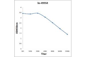 Antigen: 0. (ISR-beta antibody  (AA 801-900))