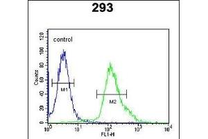 FGFBP3 Antibody (C-term) (ABIN651816 and ABIN2840409) flow cytometric analysis of 293 cells (right histogram) compared to a negative control cell (left histogram). (FGFBP3 antibody  (C-Term))