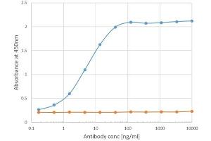 Binding curve of anti-ICOSL antibody HK5. (Recombinant ICOSLG antibody)