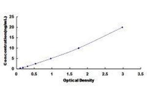 Glutamate Receptor, Ionotropic, AMPA 4 (GRIA4) ELISA Kit