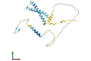 AlphaFold protein structure predicition of Human Recombinant OCIAD1 Protein, UniprotID Q9NX40