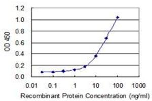 Detection limit for recombinant GST tagged KLRC4 is 0. (KLRC4 antibody  (AA 1-158))