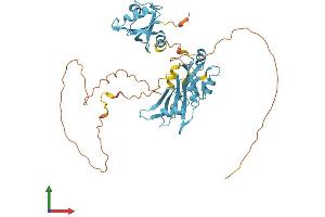 AlphaFold protein structure predicition of Mouse Recombinant Hnrnpf Protein, UniprotID Q9Z2X1