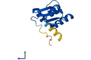 AlphaFold protein structure predicition of Mouse Recombinant Rpl30 Protein, UniprotID P62889 (RPL30 Protein (AA 1-115) (His tag))