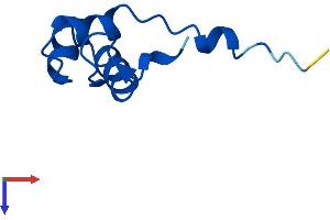 AlphaFold protein structure predicition of Human Recombinant POLR2L Protein, UniprotID P62875 (POLR2L Protein (AA 1-67) (Fc Tag))