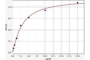 Typical standard curve (HLA-C ELISA Kit)