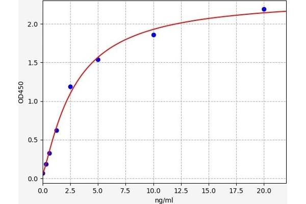 HLA-C ELISA Kit