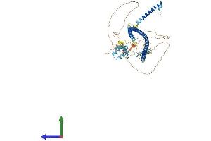 AlphaFold protein structure predicition of Mouse Recombinant Rab11fip4 Protein, UniprotID Q8BQP8
