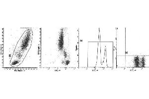 Image no. 1 for anti-Protein tyrosine Phosphatase, Receptor Type, C (PTPRC) antibody (FITC) (ABIN1106394) (CD45 antibody  (FITC))