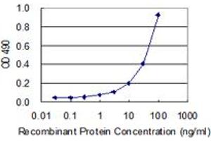 IRF2 (Human) Matched Antibody Pair