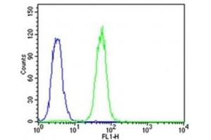 Flow cytometric analysis of K562 cells using CDK5 antibody (green) compared to an isotype control of rabbit IgG (blue); Ab was diluted at 1:25 dilution. (CDK5 antibody  (AA 254-289))