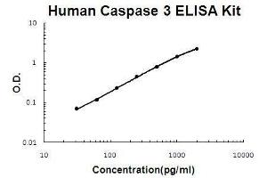 Human Caspase 3 PicoKine ELISA Kit standard curve