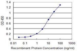 Detection limit for recombinant GST tagged SLC4A1 is 0. (Band 3/AE1 antibody  (AA 261-360))