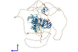 AlphaFold protein structure predicition of Human Recombinant KSR1 Protein, UniprotID Q8IVT5